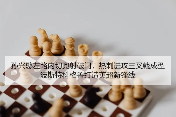 sun-xing-min-zuo-lu-nei-qie-dou-she-po-men-re-ci-jin-gong-san-cha-ji-cheng-xing-bo-si-te-ke-ge-lu-da-zao-ying-chao-xin-2-304.jpg